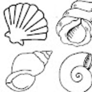 Meet your Posher, Esther